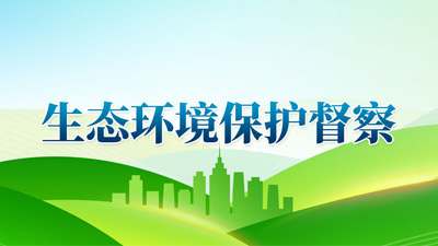 生態環境保護督察